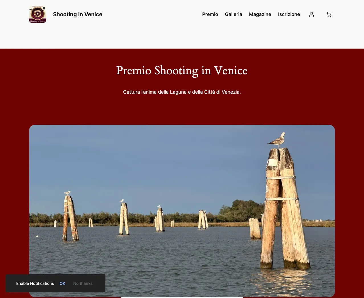 Le site Shooting in Venice (2025)